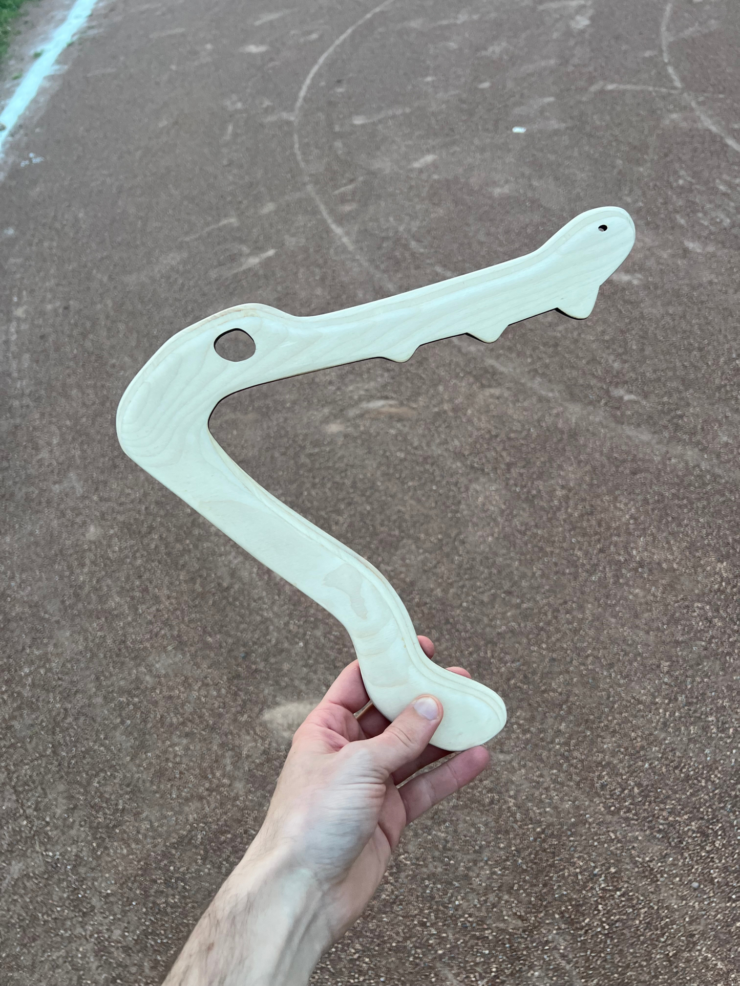 The Cranky Croc Boomerang